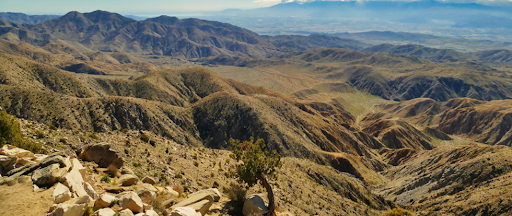 Le parc de Joshua Tree où a été testé WiFi Halow