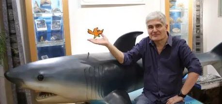 Homme devant représentation d’un requin avec petit oiseau orange dessinée dans la main